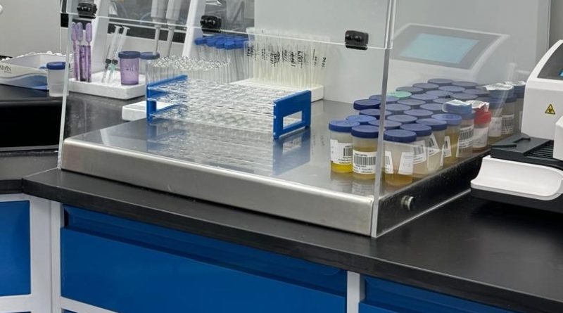 laboratorio-54-800x445f