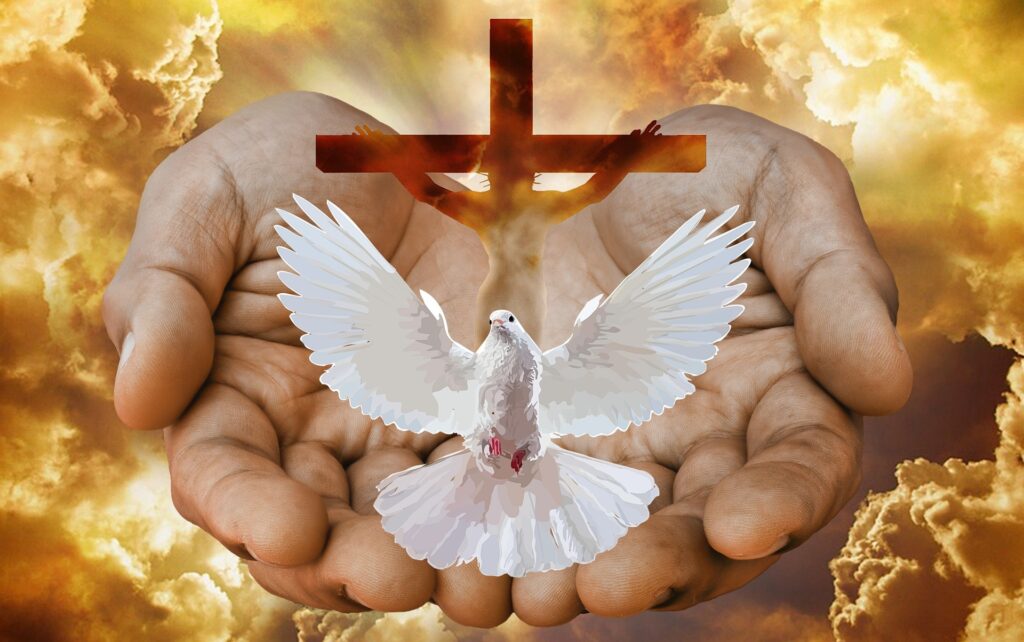 espiritu santo 2 3 4 5 6 7