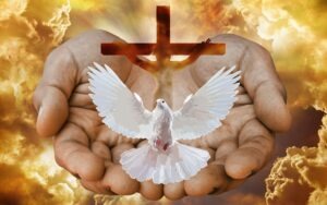 espiritu santo 2 3 4 5 6 7