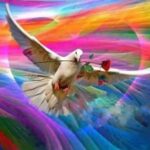 12626006_1019730708085721_1372962433_n (2)