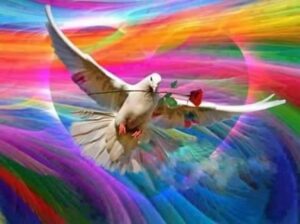 12626006_1019730708085721_1372962433_n (2)